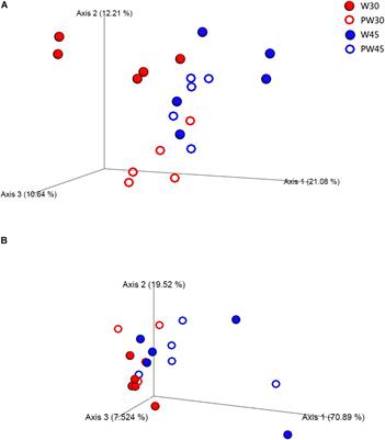 Weaning Age Affects the Development of the Ruminal Bacterial and Archaeal Community in Hu Lambs During Early Life